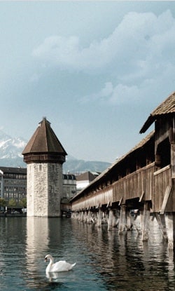 Our offices - Switzerland